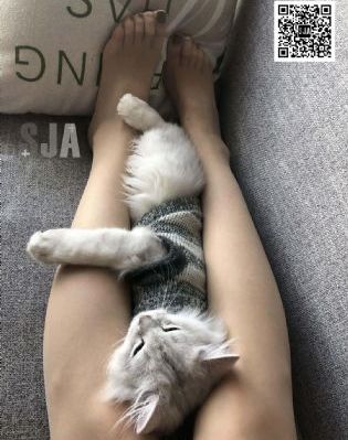 喜宝电影_高清完整版BD