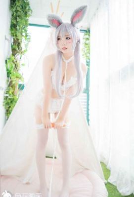 东北往事之黑道风云20年 电视剧_1080免费观看电视剧